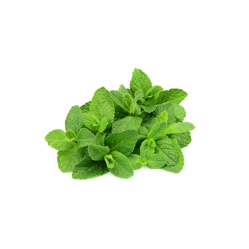 40g Mint