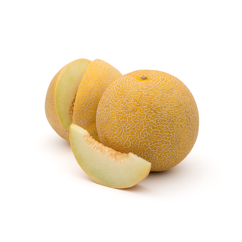 1 Galia Melon