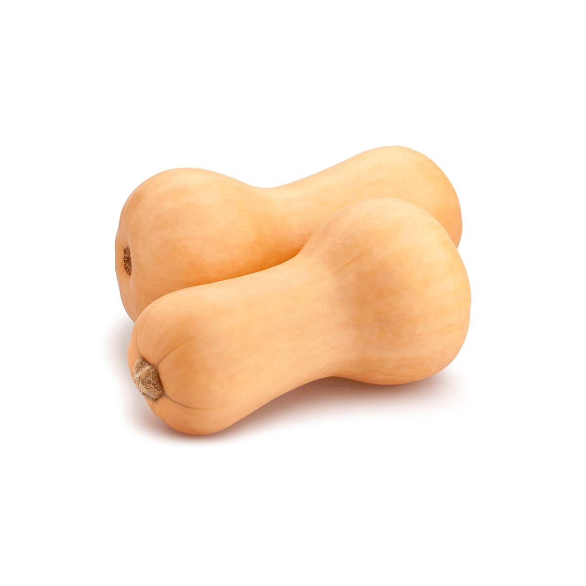 Butternut (PC)
