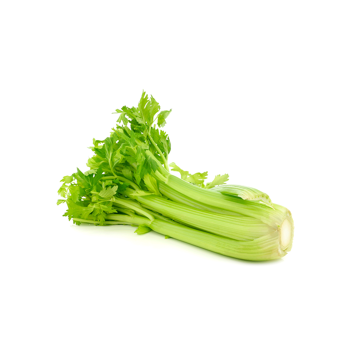 1 Céleri Vert