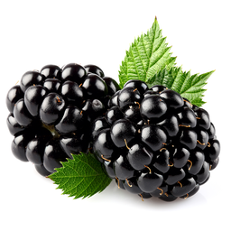 125g Blackberries