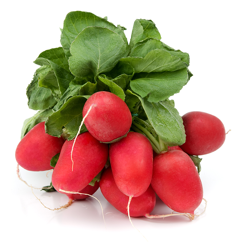 1 Bunch of Radishes