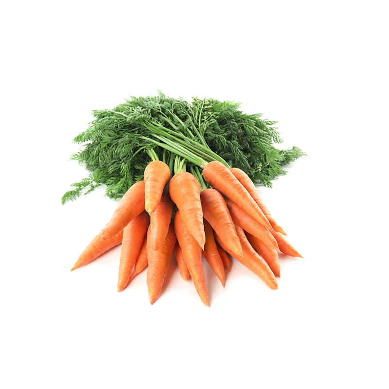 1 Bussel Carrots