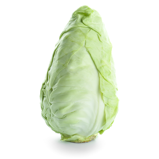 8 Pointy Cabbage