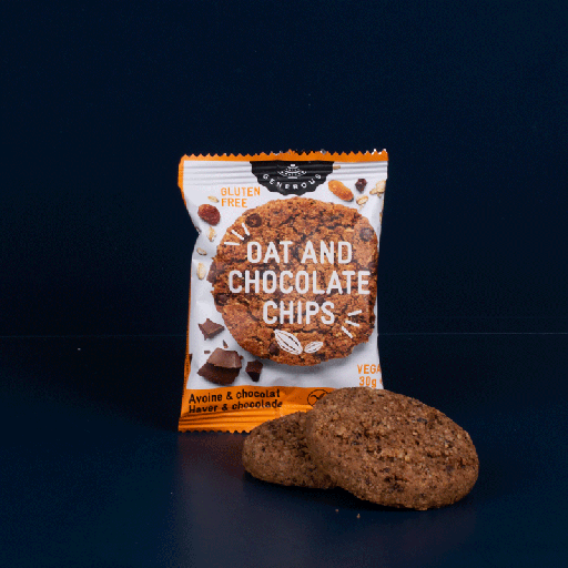 25 Biscuits Avoine Chocolat Martin Matin
