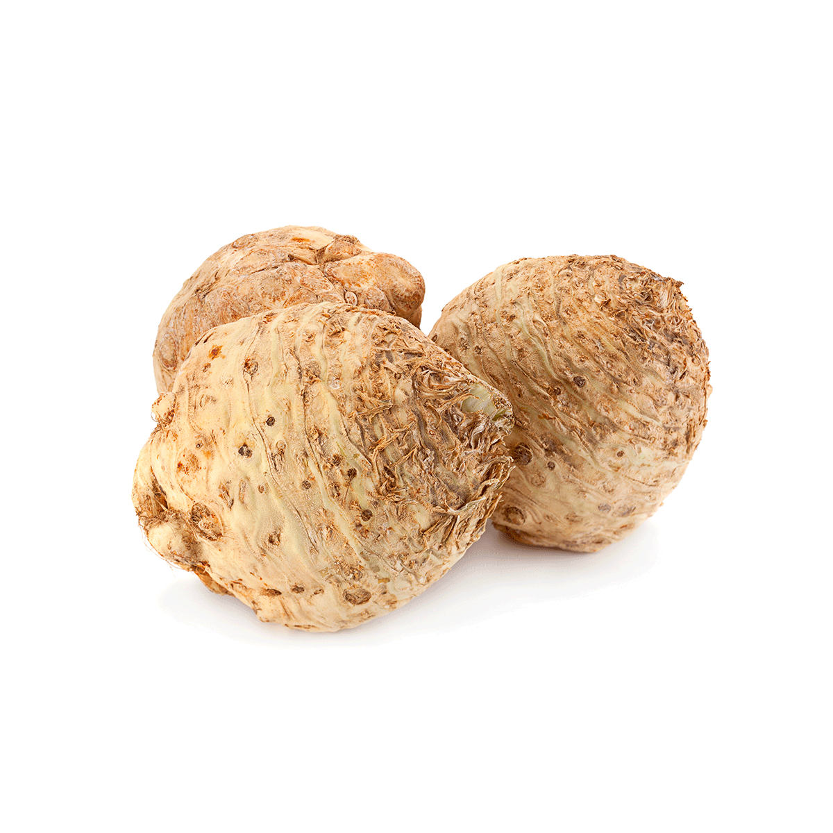 1 Celeriac